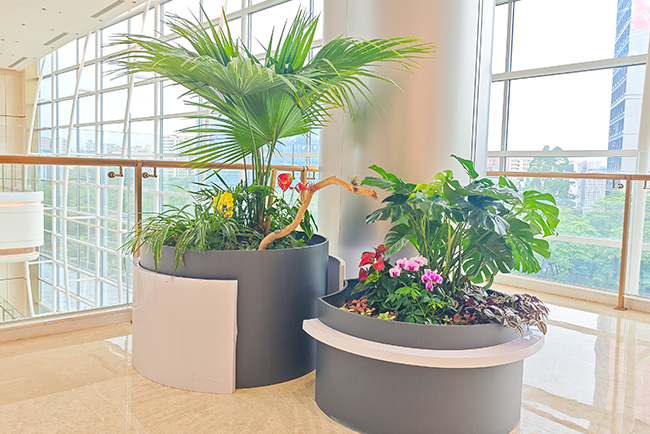 华为南方工厂园林绿化养护