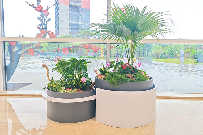 华为南方工厂园林绿化养护