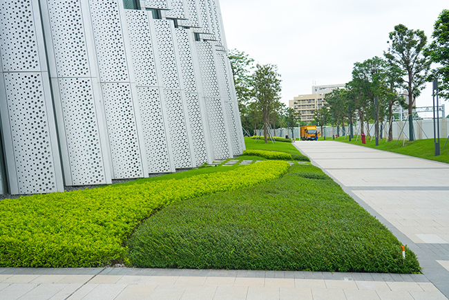 中山明阳集团新总部景观工程施工