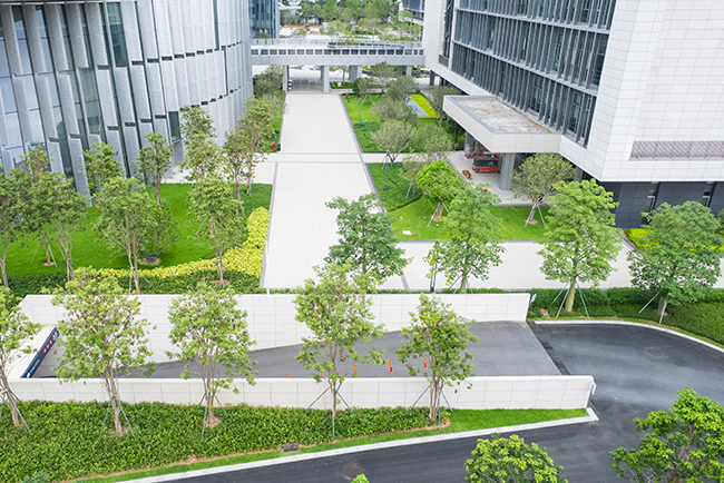 中山明阳集团新总部景观工程施工