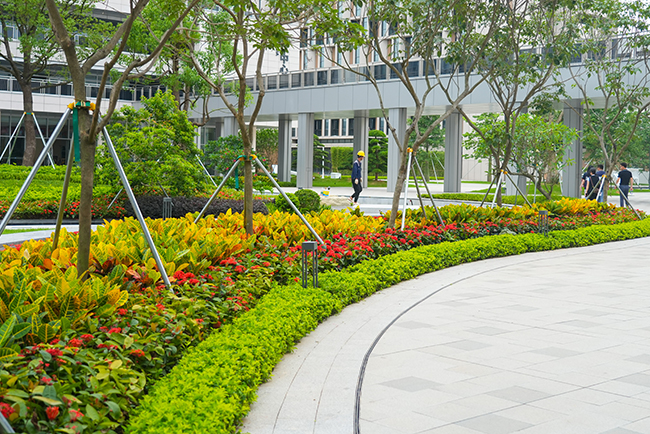 中山明阳集团新总部景观工程施工