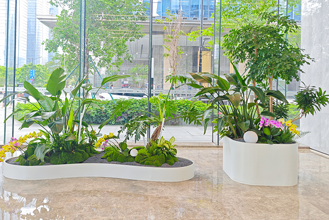 写字楼植物租赁