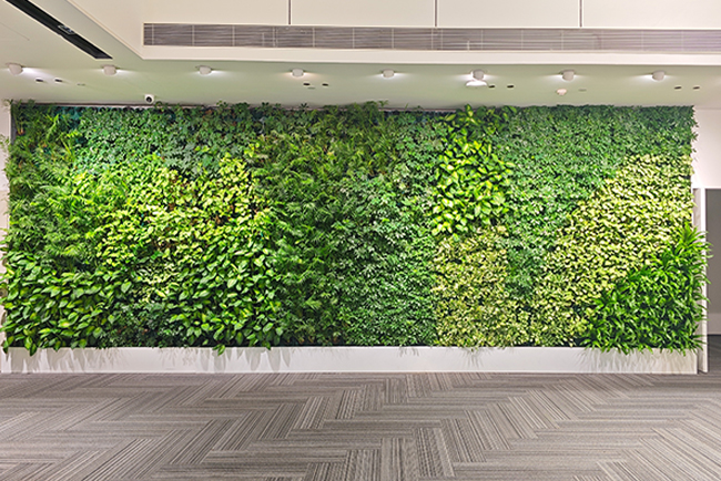 绿植墙设计