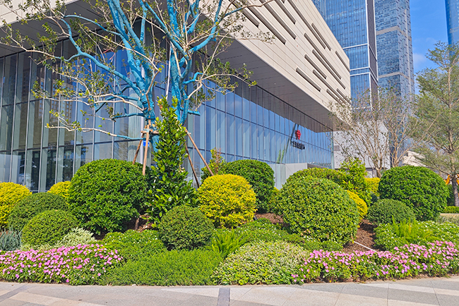 商场室表绿化养护