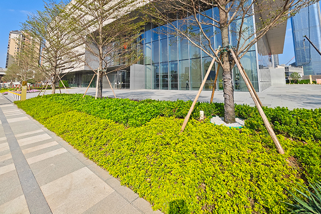 市政公园绿化养护