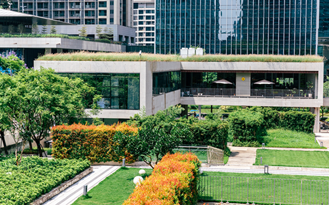 绿化养护案例 | 深圳万科云城设计公社，当艺术邂逅天然