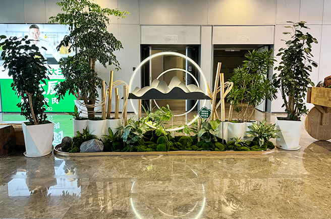 深圳万科云城设计公社植物租摆与绿化养护