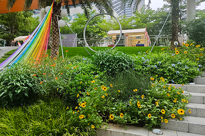 深圳万科云城设计公社植物租摆与绿化养护