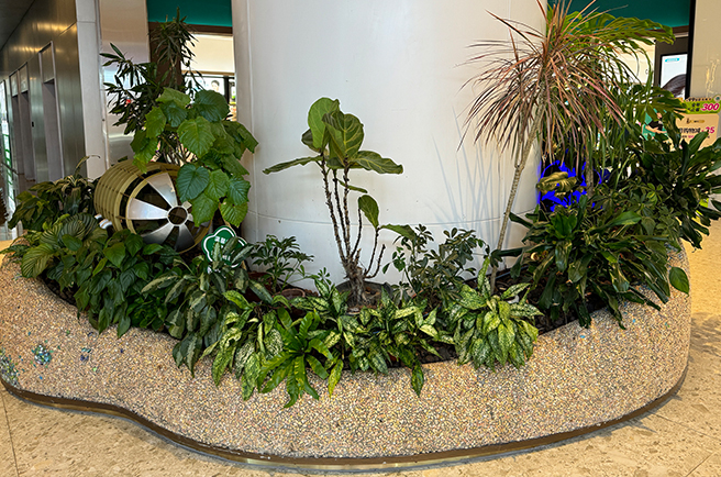 深圳万科云城设计公社植物租摆与绿化养护