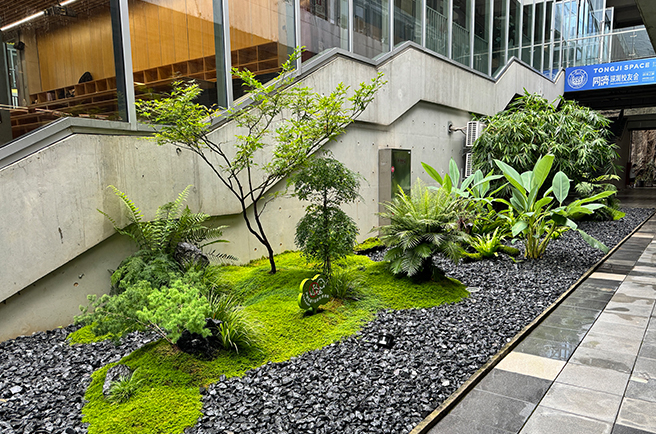 深圳万科云城设计公社植物租摆与绿化养护