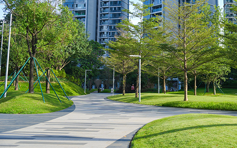 ϲѶ��IM����԰��ͨ��2025��ȹ��ȸ��¼�����ҵ�϶�