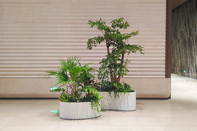 粤胜广场大堂植物美陈——绿色共融激活贸易空间