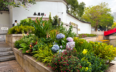 IM����԰�־�����ư����������������ء�����������